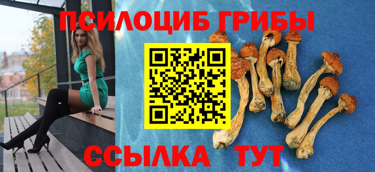 Псилоцибиновые грибы ЛСД Заводоуковск