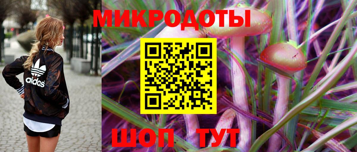 Псилоцибиновые грибы мицелий  Вход с VPN  Псилоцибиновые грибы GOLDEN TEACHER  Заводоуковск 
